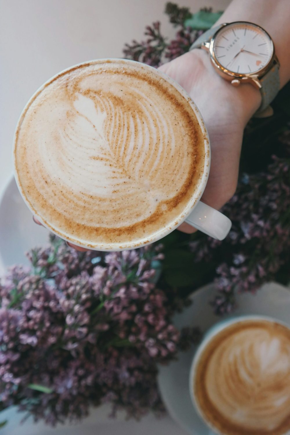 brigitte-tohm-72bfbrXi6gU-unsplash brigitte-tohm-72bfbrXi6gU-unsplash